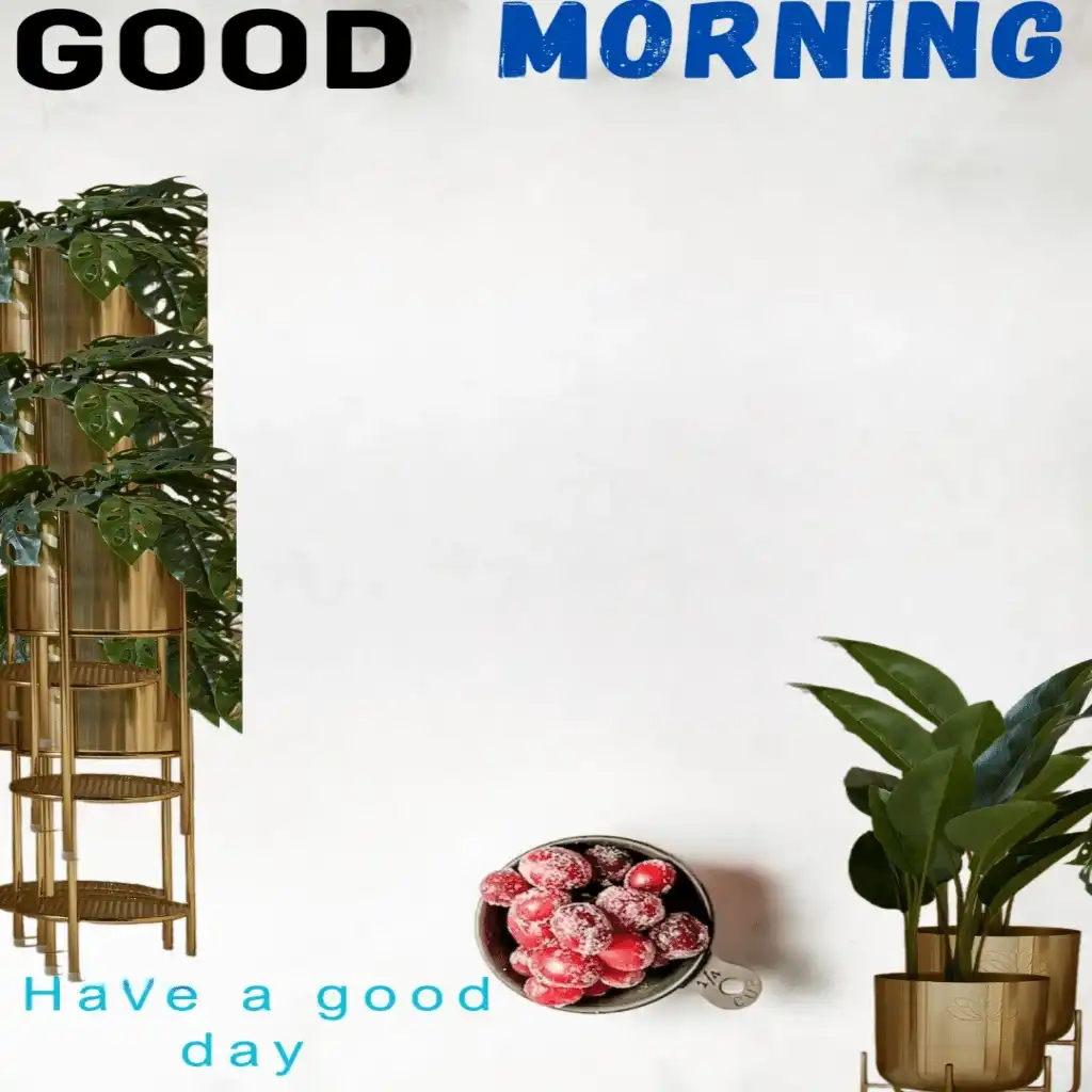 Good Morning hd image with fruits and plants