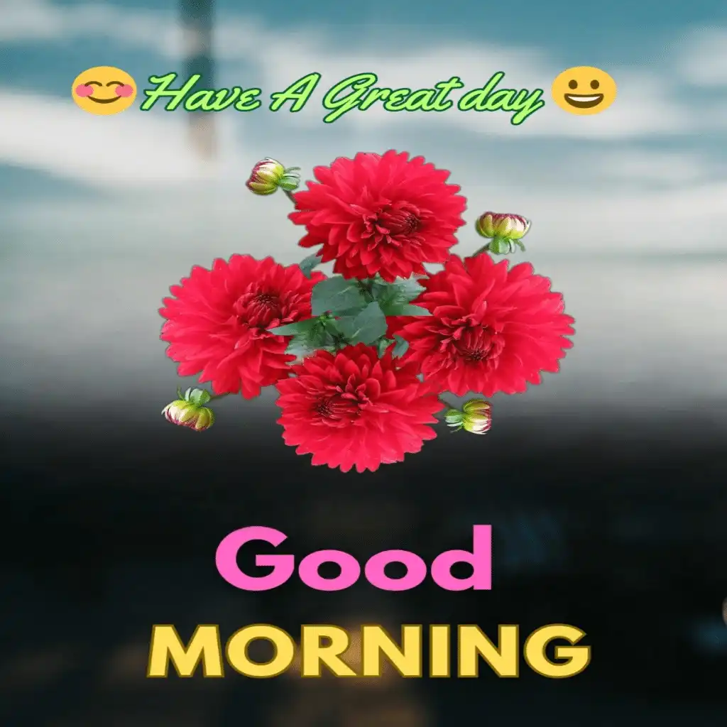 Good Morning hd image with flowers 