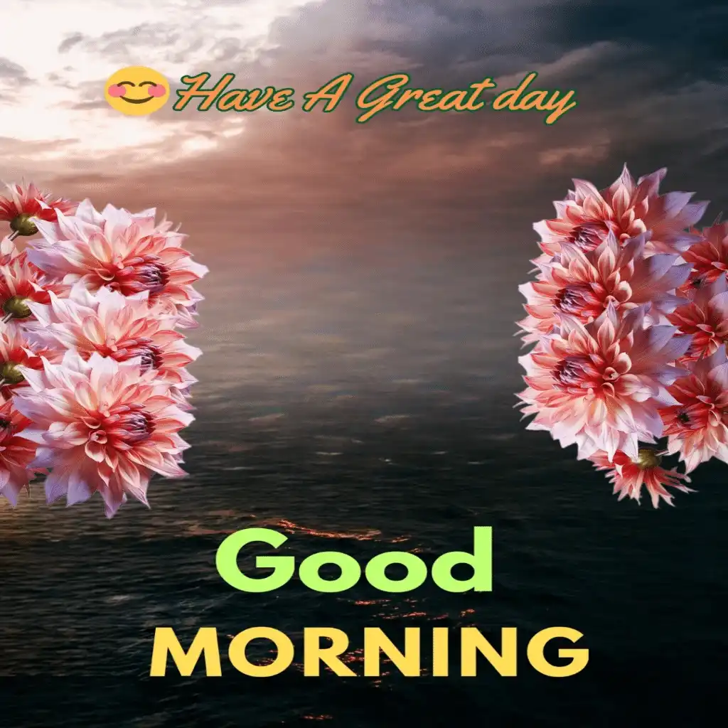 Good Morning hd image with flowers 