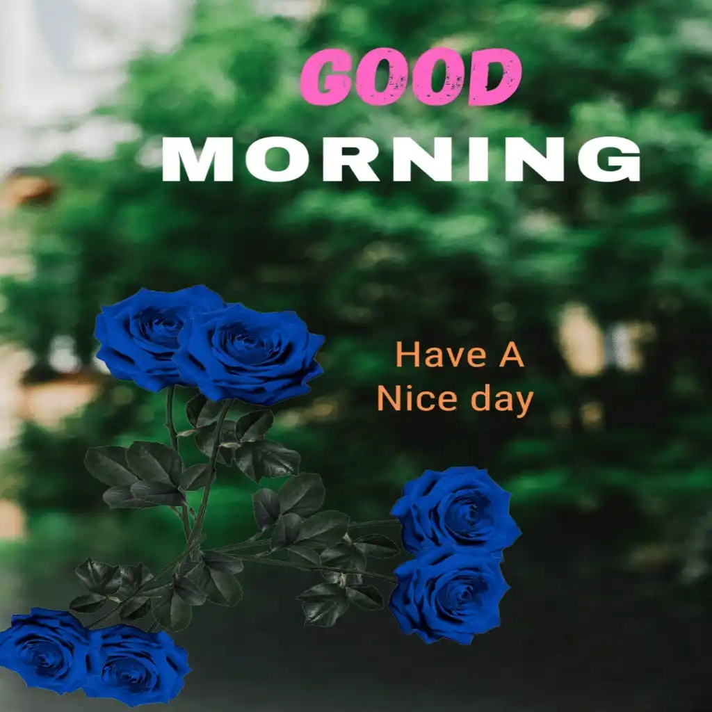 Good Morning hd image with blue flowers 