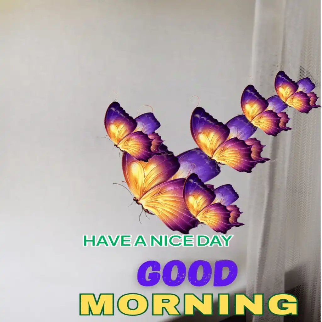 Good Morning hd image with butterfly 