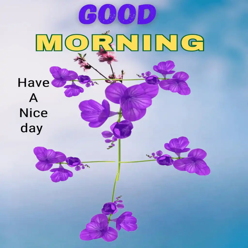 Good Morning hd image with flowers 