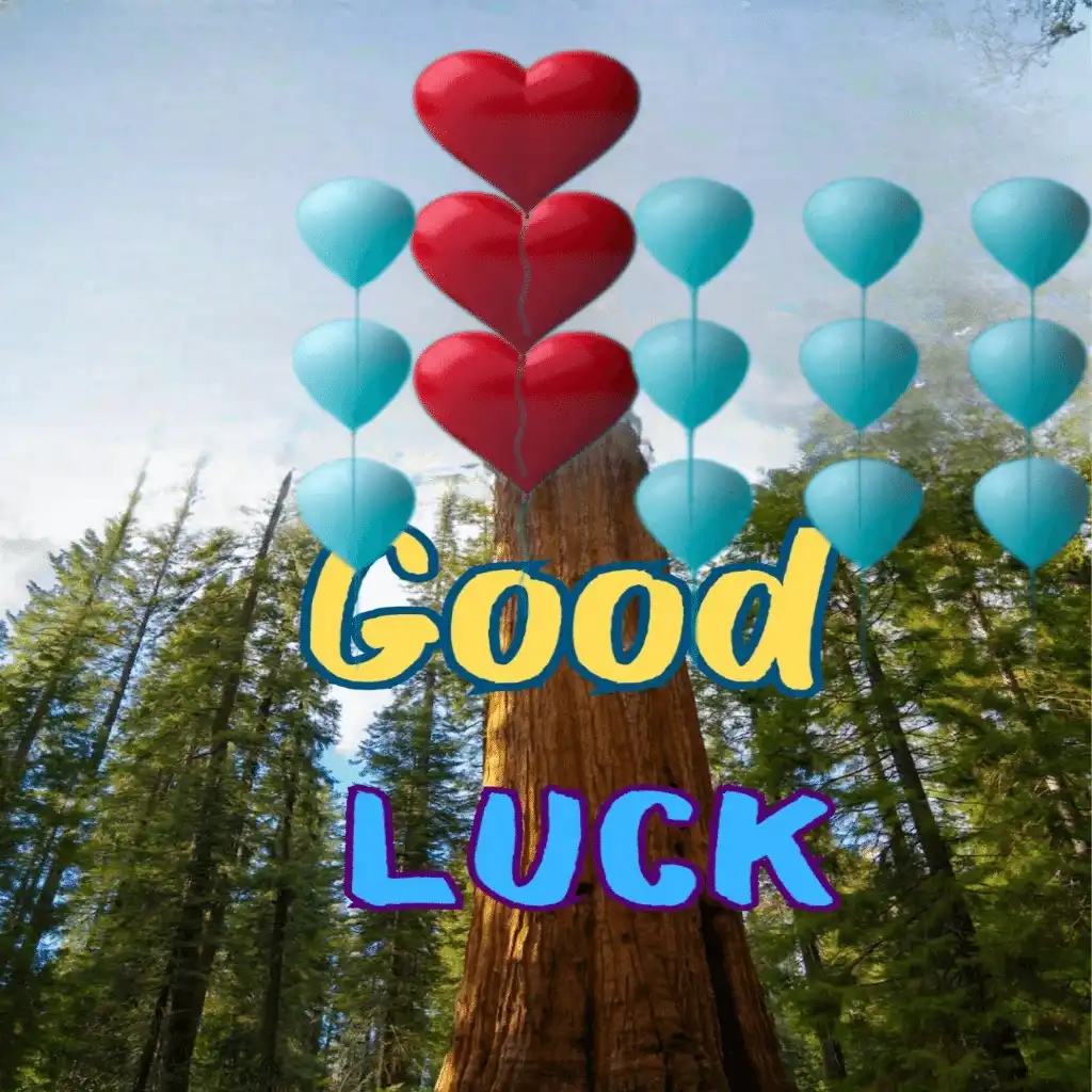 Good Luck hd image with balloons 