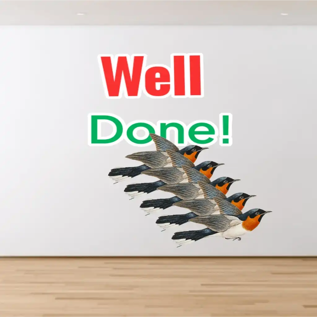 well done hd image with birds