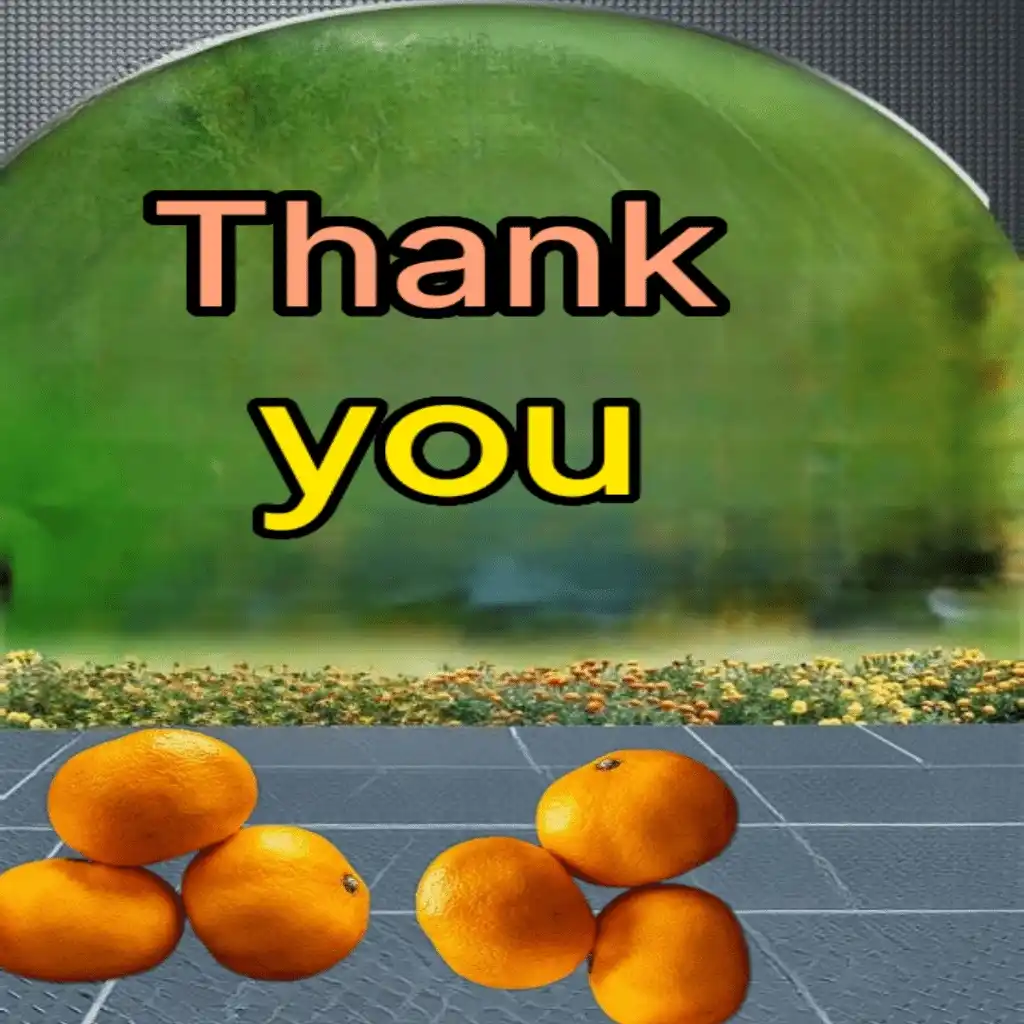 Thank you hd image with fruits 