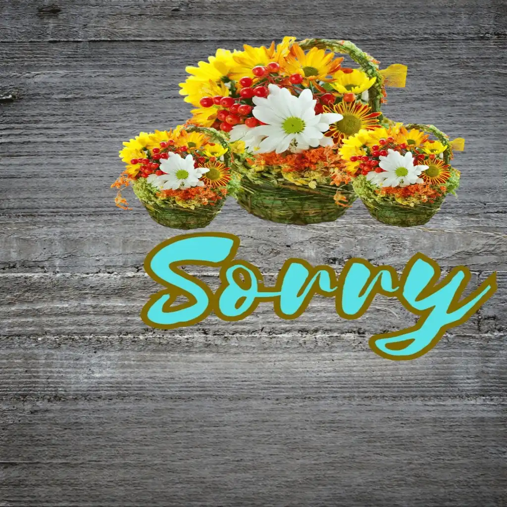 sorry hd image with flowers 