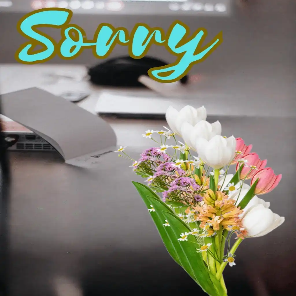 sorry hd image with flowers 