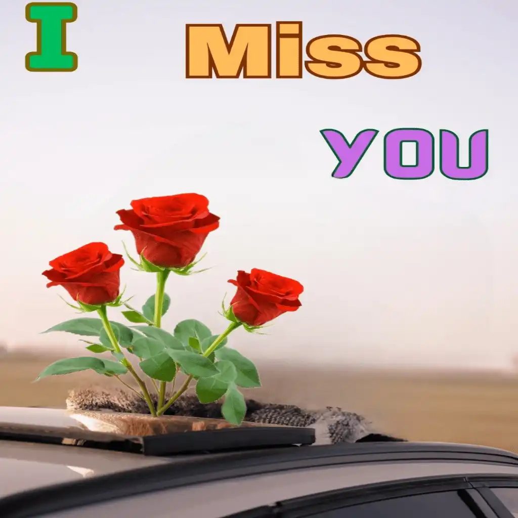 I MISS YOU hd image with car and flowers 