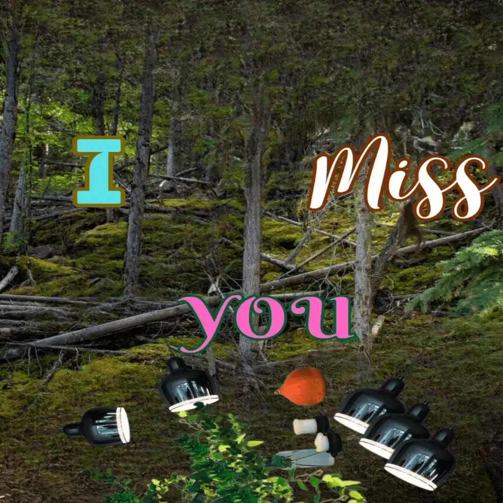 I MISS YOU hd image with lamps in jungle