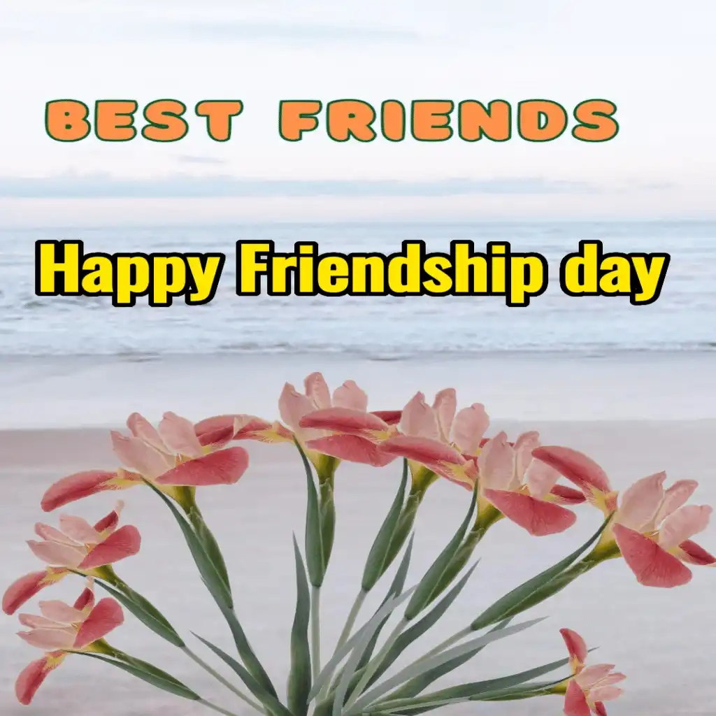 happy friendship day hd image with sea