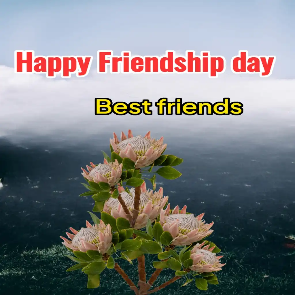 happy friendship day hd image with flowers 