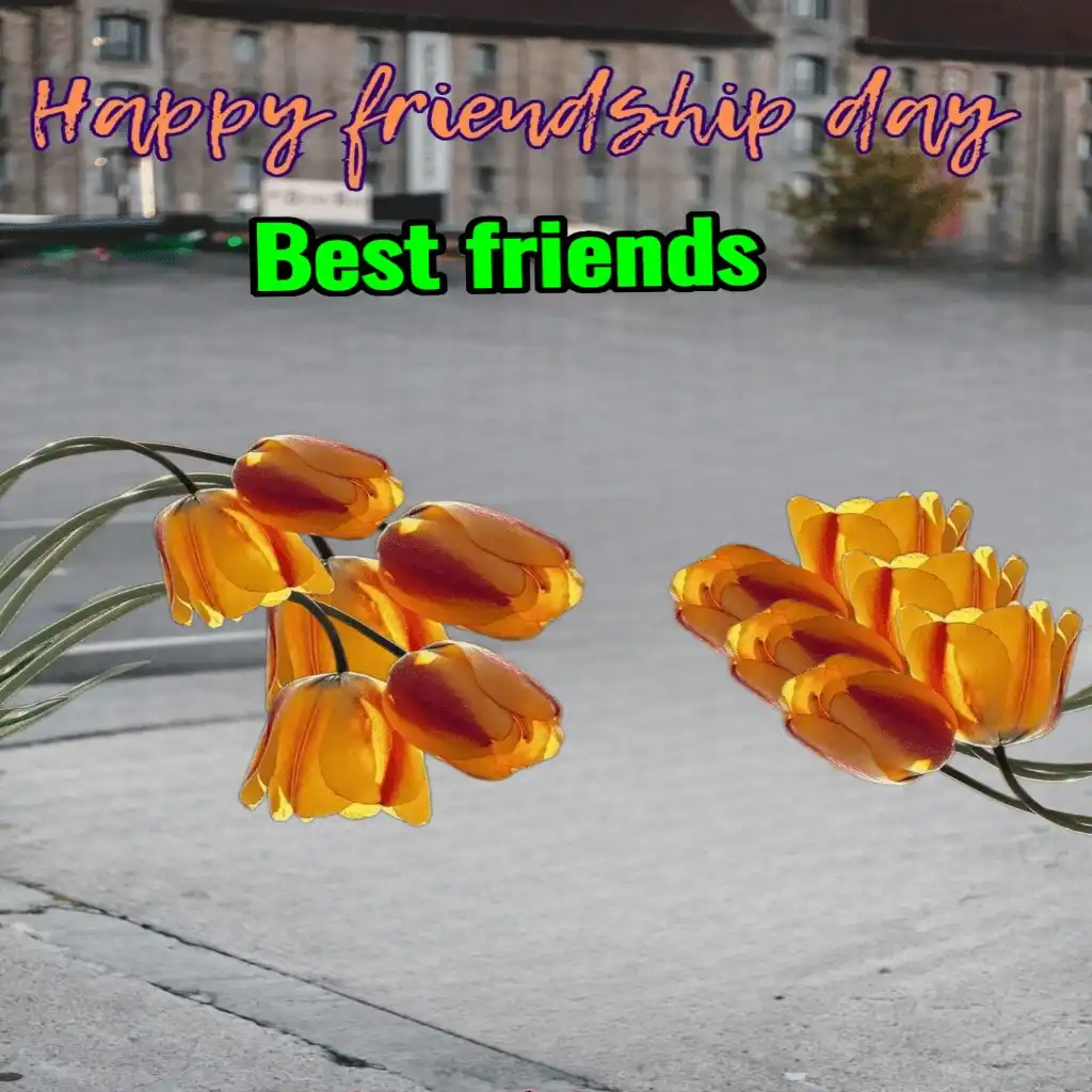 happy friendship day hd image with flowers 