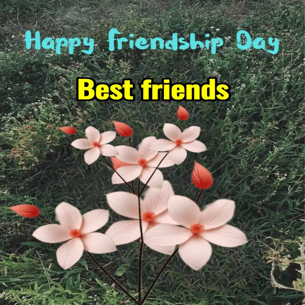 happy friendship day hd image with grass and flowers 