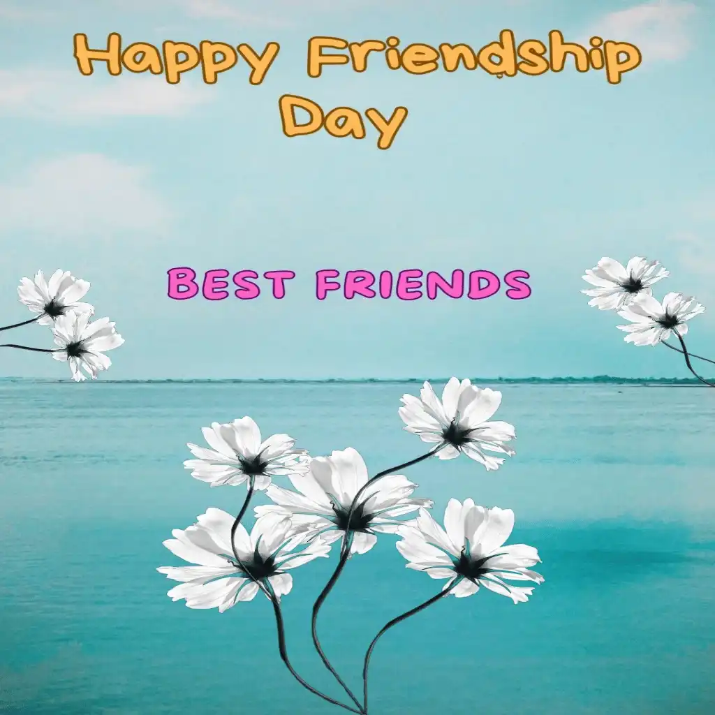 happy friendship day hd image with sea and flowers 