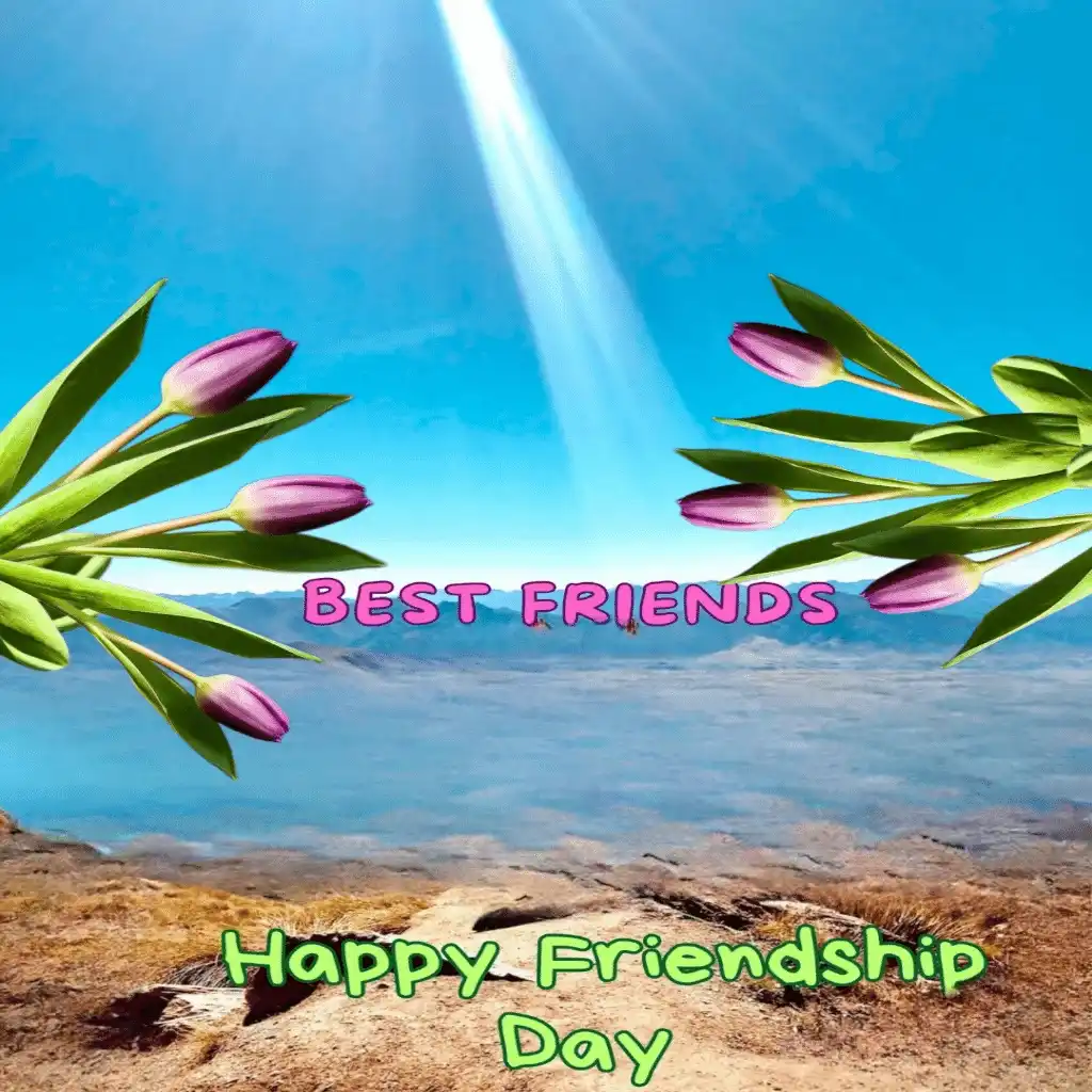 happy friendship day hd image with sea and bouquet 