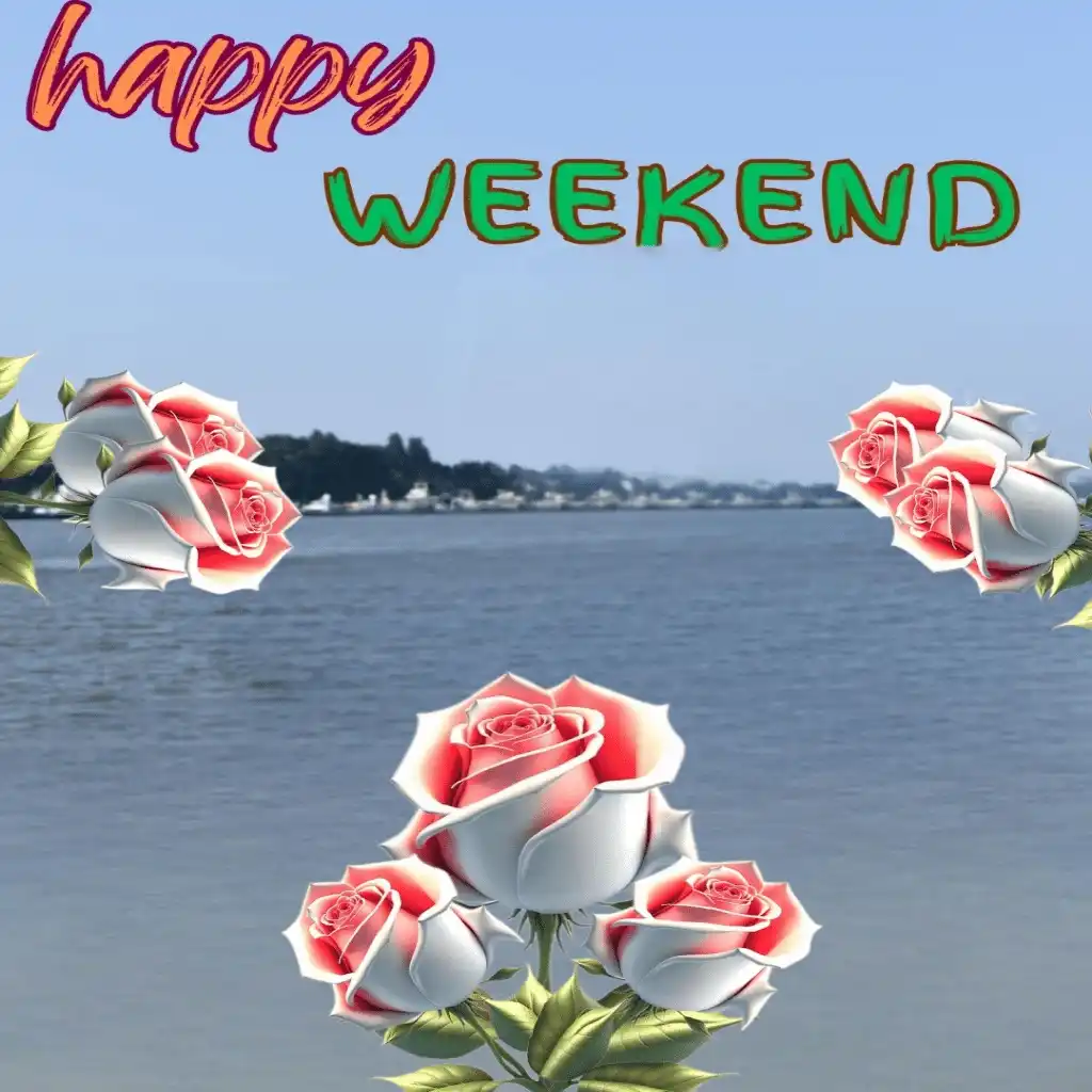 Happy weekend hd image with sea and roses