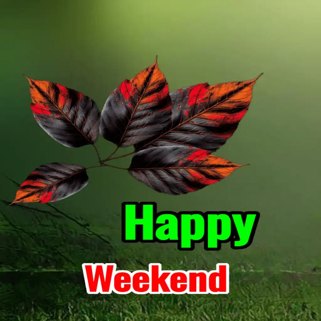 Happy weekend hd image with plant 