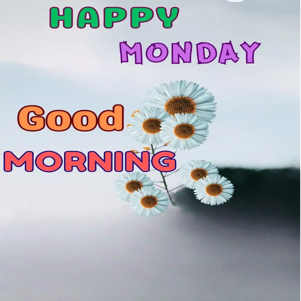 Happy Monday hd image with flowers 