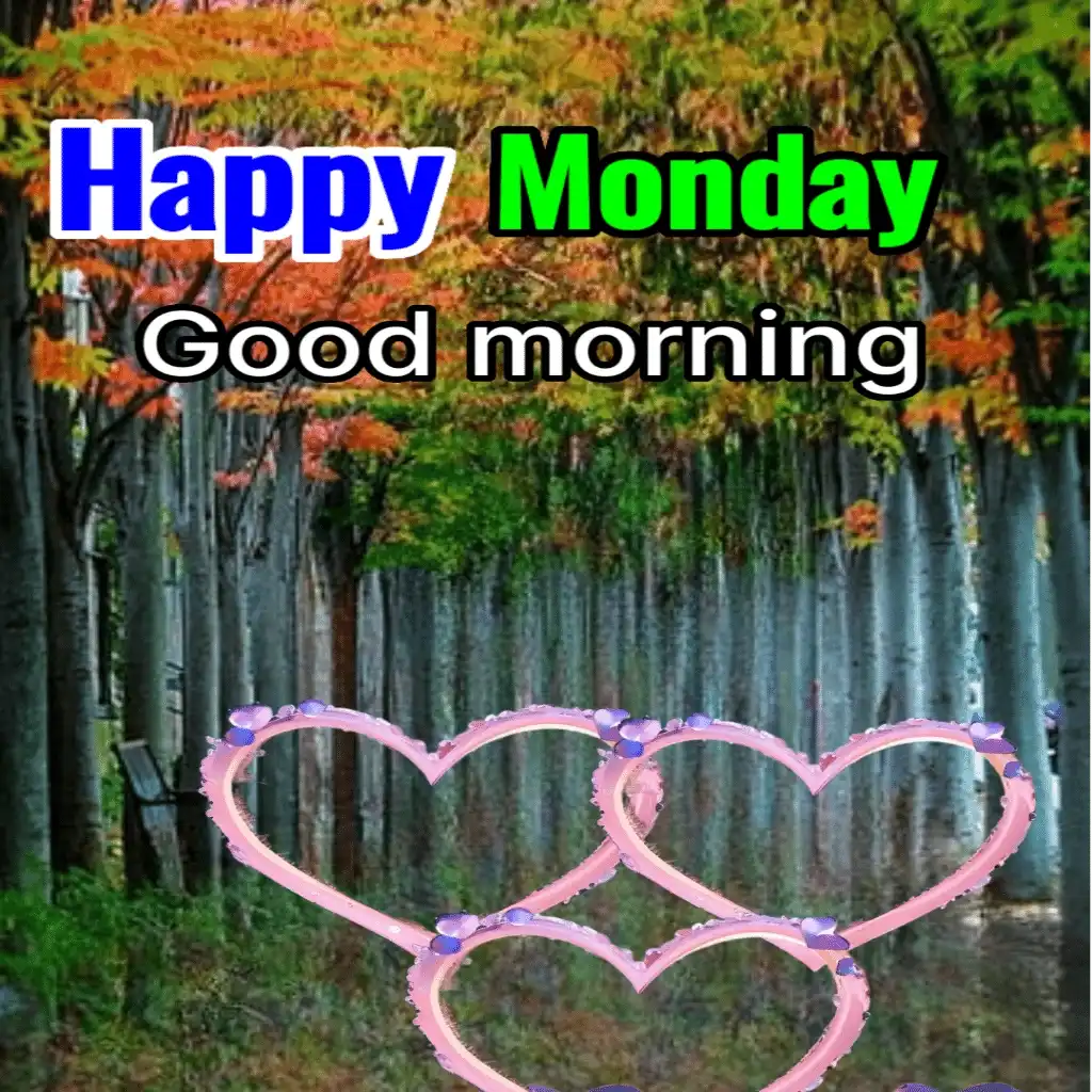 Happy Monday hd image with trees and heart shape 