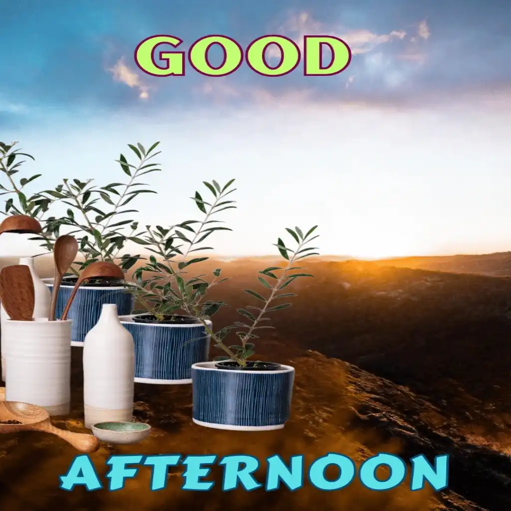 Good Afternoon hd image with plants 