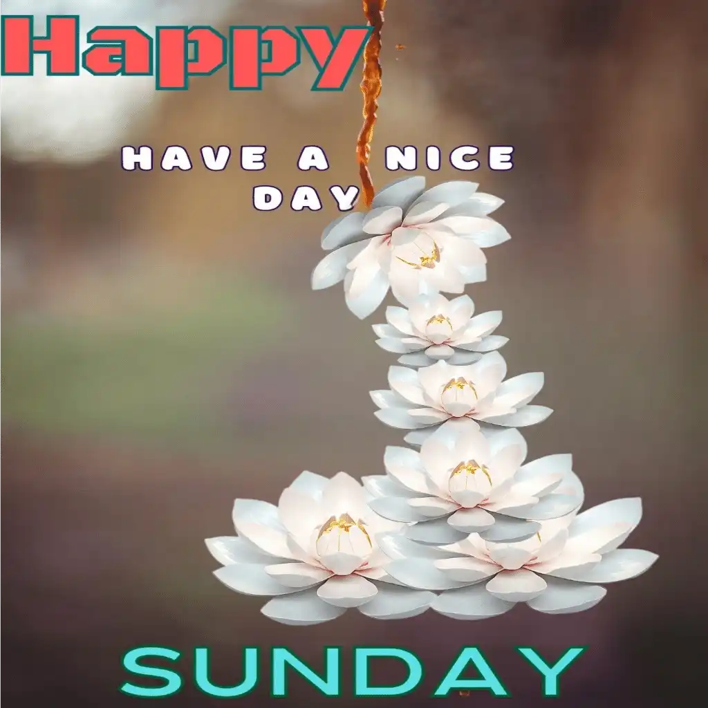 happy Sunday hd image with flowers