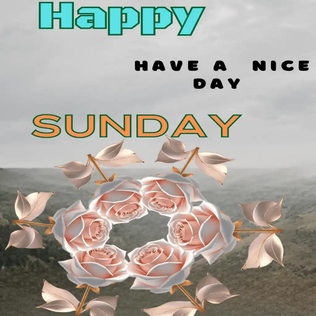 happy Sunday hd image with white flowers 