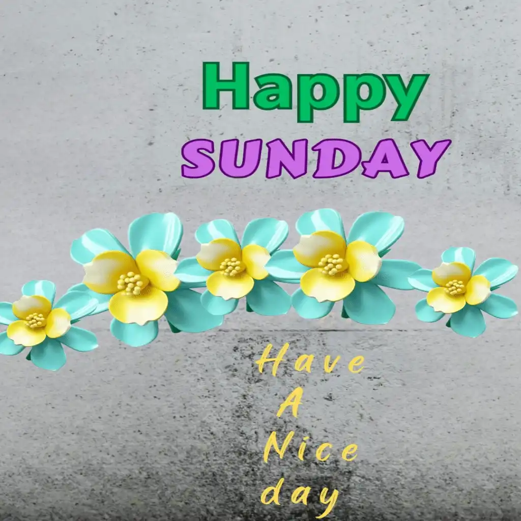 happy Sunday hd image with Amazing flowers 