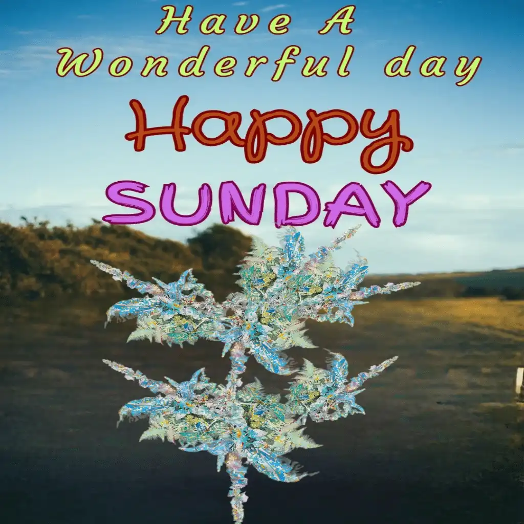 happy Sunday hd image with Amazing design 