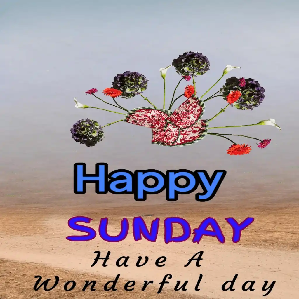 happy Sunday hd image with unique flowers 